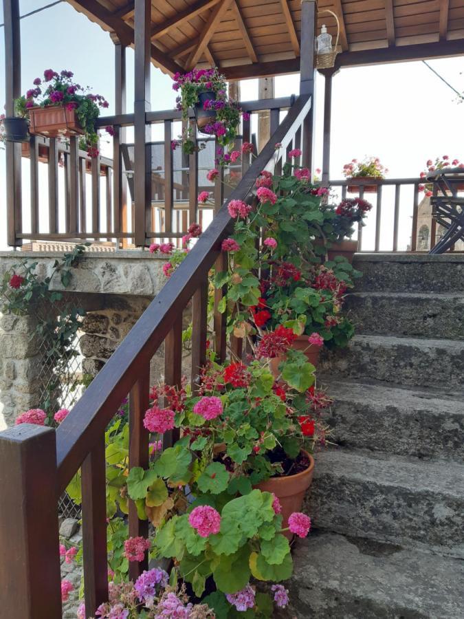 Casa Do Pelourinho Holiday home